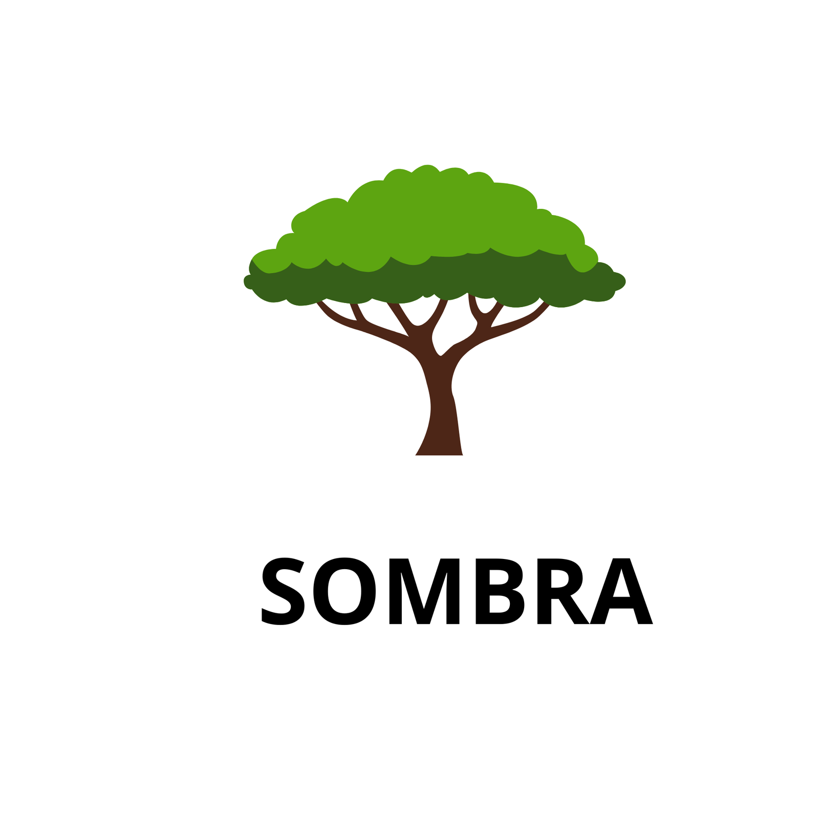 PLANTAS DE SOMBRA